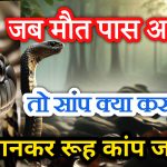 Sanp ki mout